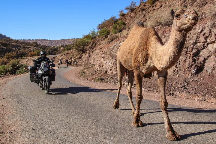 Winterflucht - eine Motorradreise durch Spanien, Portugal und Marokko